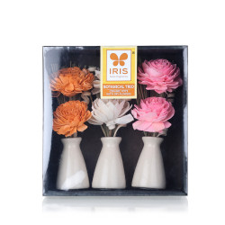 Iris-Home Fragrances Botonical Trio ceramic pots
