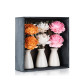 Iris-Home Fragrances Botonical Trio ceramic pots
