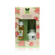 Iris-Apple cinnamon Reed Diffuser set with 60ml oil and 6N reed sticks
