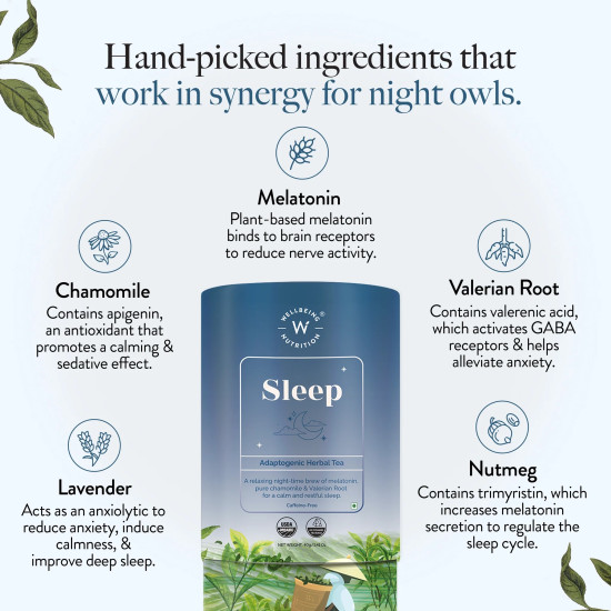 Wellbeing Nutrition-Wellness Tea-Sleep Adaptogenic Herbal Tea