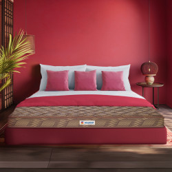 Sleepwell  Champ-Superior PU Foam | 5-inch Single Size Mattress | Medium Firm | Anti Sag Tech Mattress (Brown, 72x36x5)
